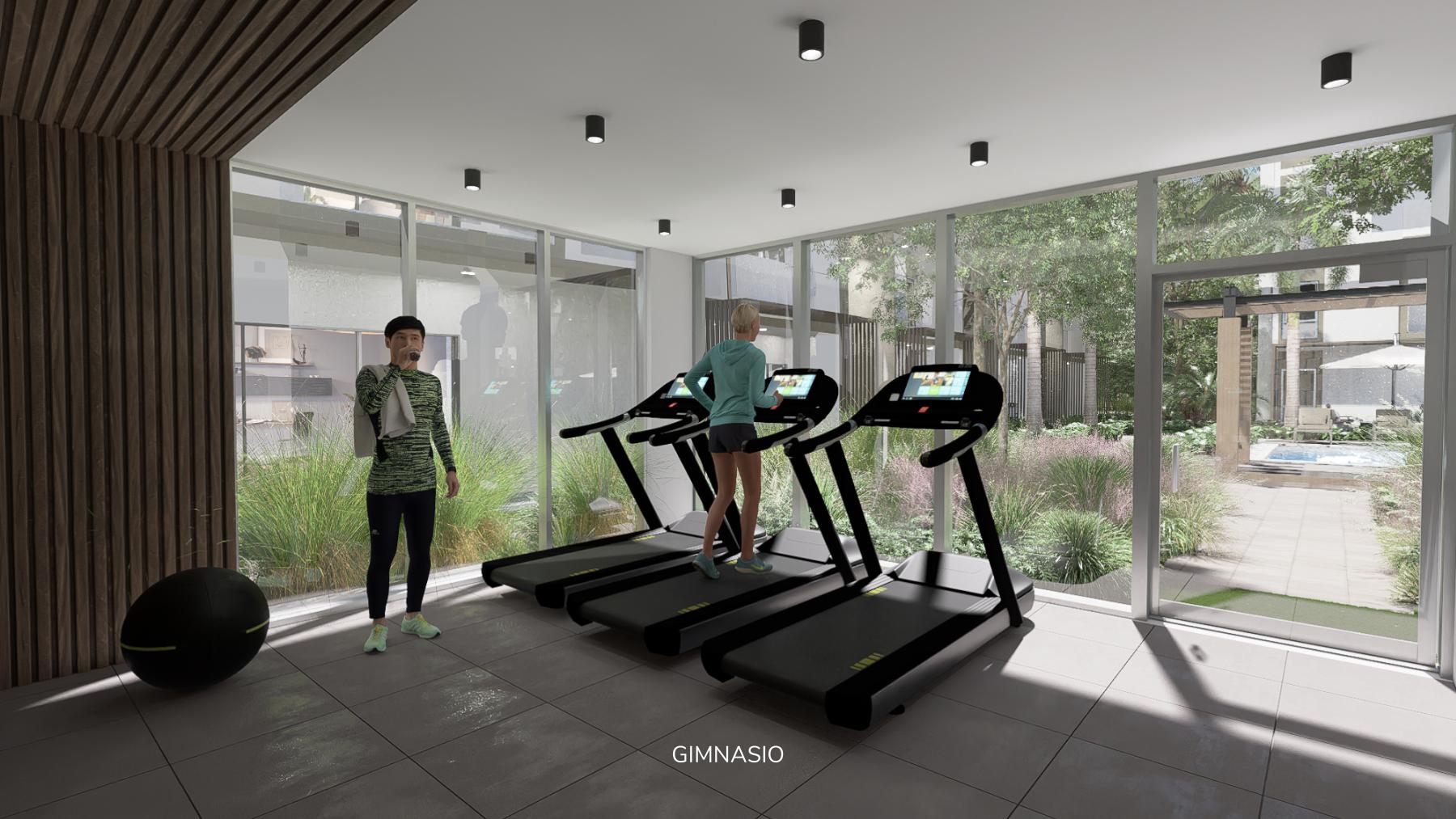 Gimnasio